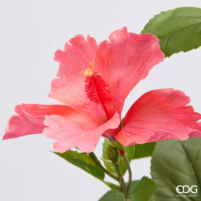 Hibiscus EDG Ramo 4 Fiori con Foglie 90 cm.