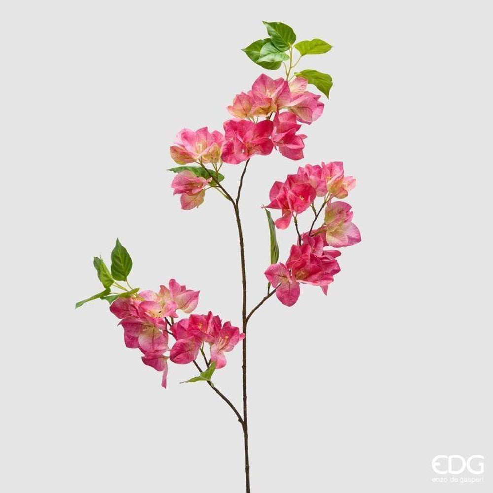 Bouganvillea EDG Ramo 93 cm.