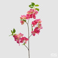 Bouganvillea EDG Ramo 93 cm.
