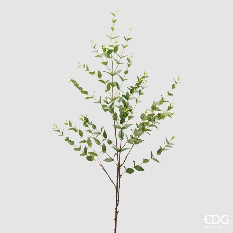 Ruscus EDG Ramo 140 cm.