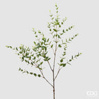 Ruscus EDG Ramo 140 cm.