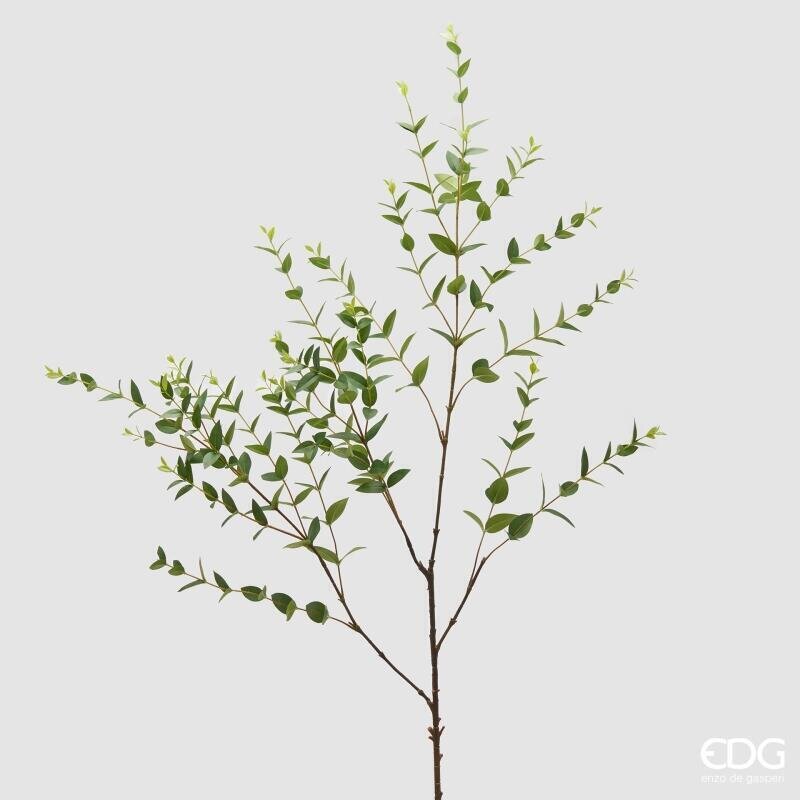 Ruscus EDG Ramo 140 cm.
