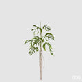 Monstera Delacerata EDG Ramo 142 cm.