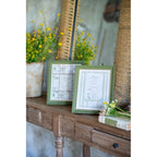 Blanc MariClò Portafoto Imago Collection Verde con Decoro Botanico 20x25 cm.