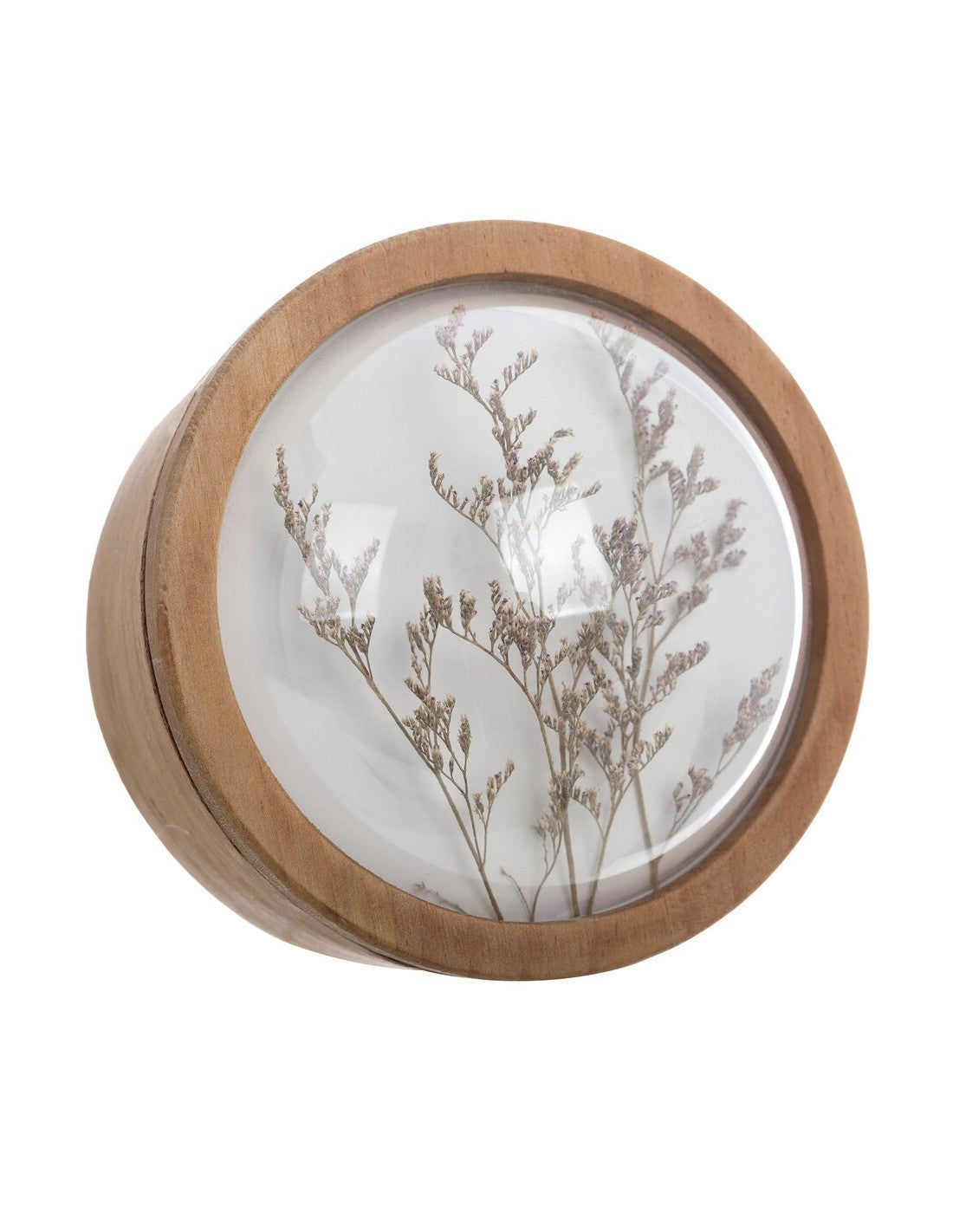 Blanc MariClò Scatola Decorativa in Legno con Cupola in Vetro e Fiori Secchi 20,60x15 cm.