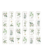 Blanc MariClò Tovaglia Cerata Le Botanique Collection in Cotone 150x170 cm.