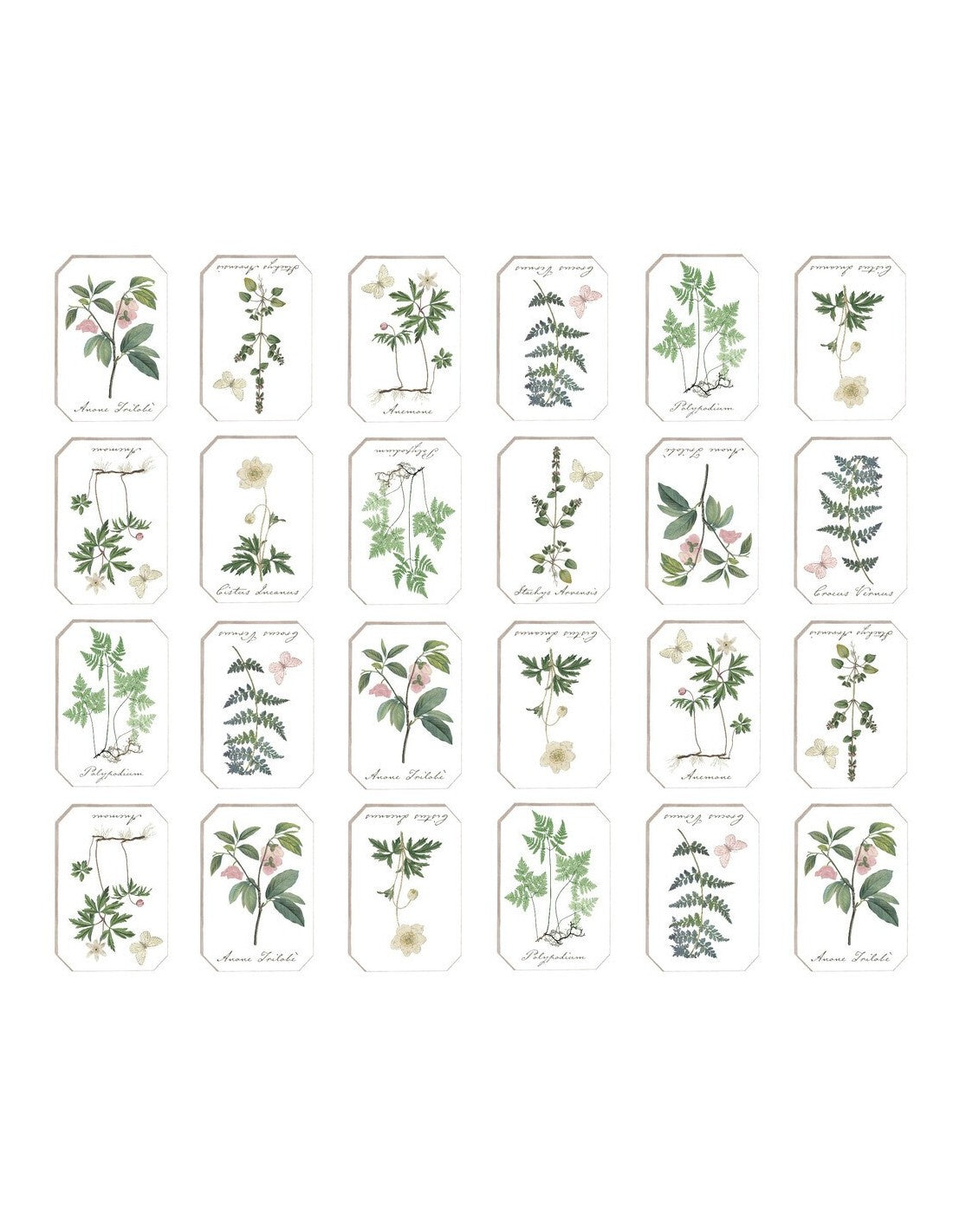 Blanc MariClò Tovaglia Cerata Le Botanique Collection in Cotone 150x170 cm.