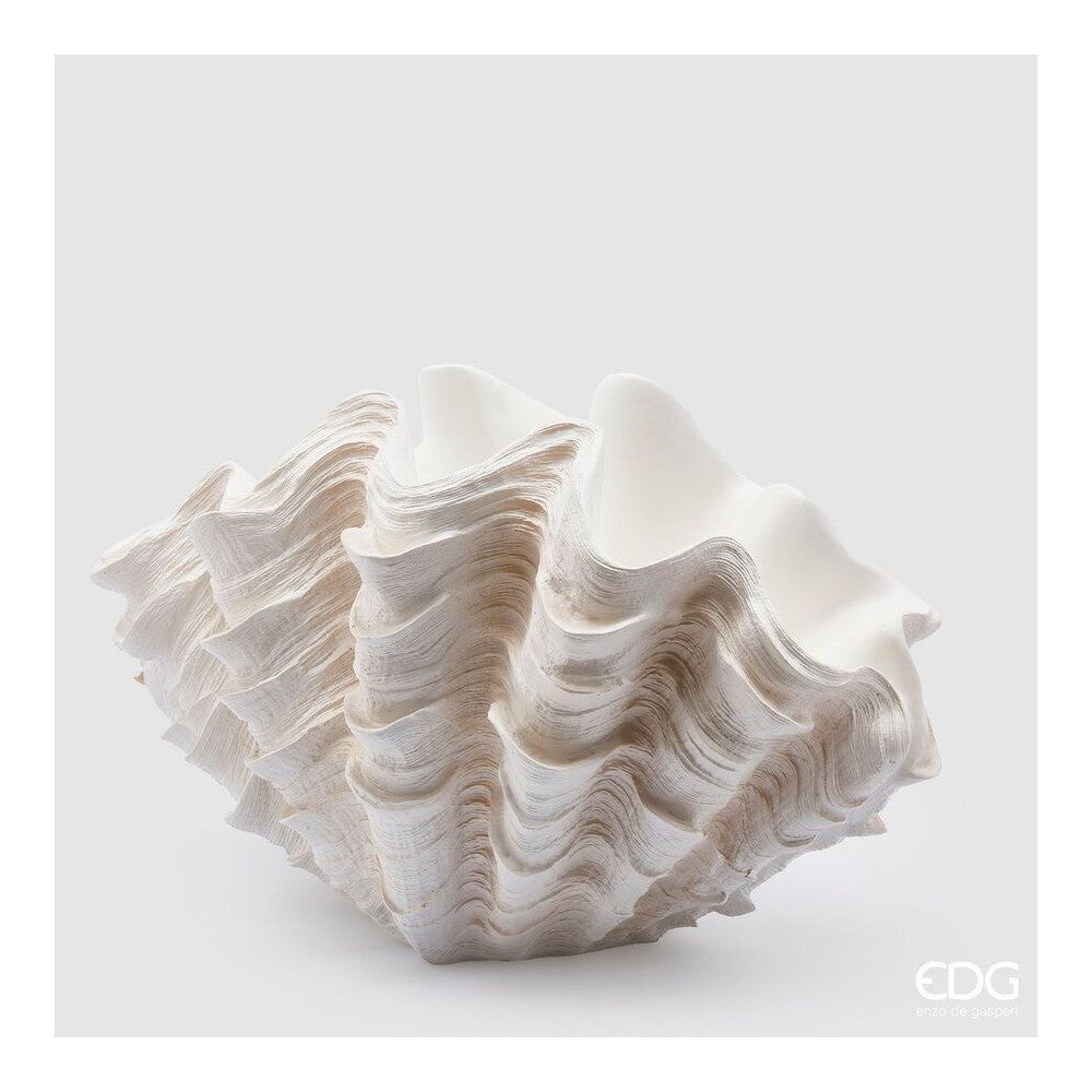 Vaso Conchiglia EDG 28,5x48,5x32 cm.