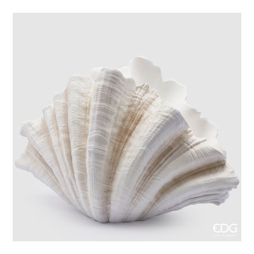 Vaso Conchiglia EDG 36x57x31 cm.